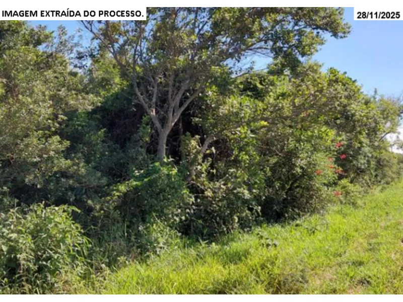 Terreno em leilão