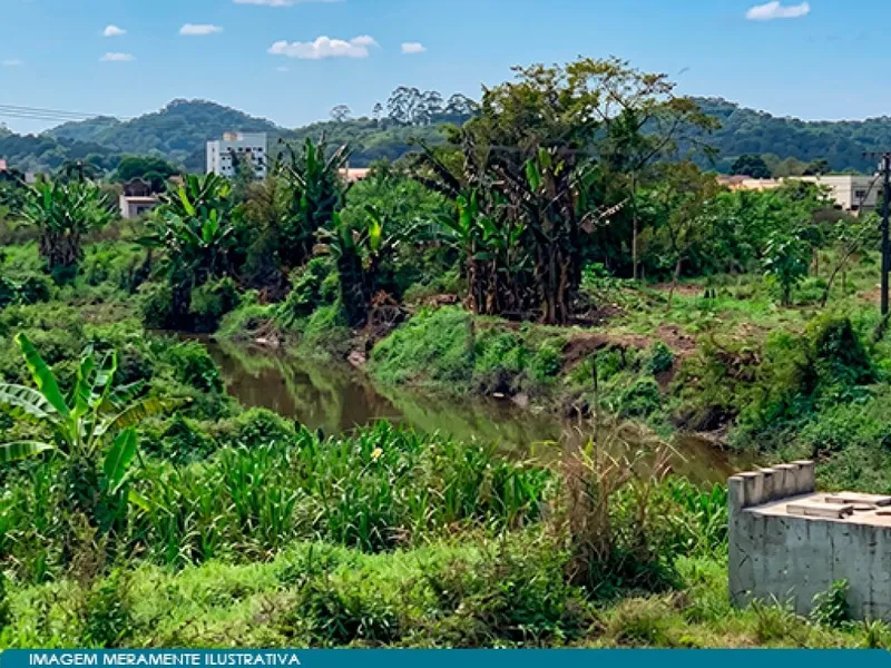 Imóvel rural em Leilão Judicial