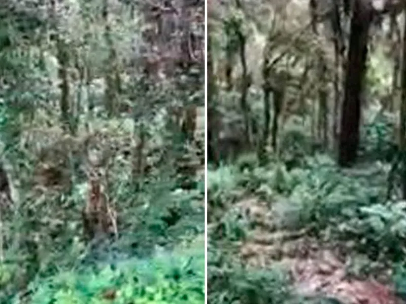 Outros em Leilão Extrajudicial