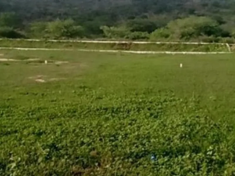 Outros em Leilão Extrajudicial