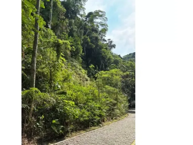 Terreno em Leilão Judicial