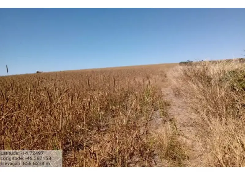Imóvel rural em Leilão Extrajudicial