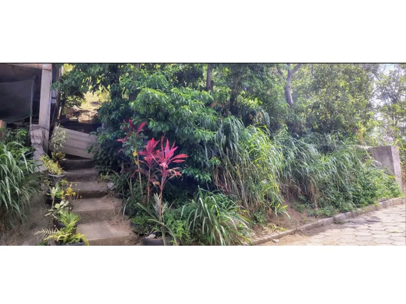 Terreno em leilão