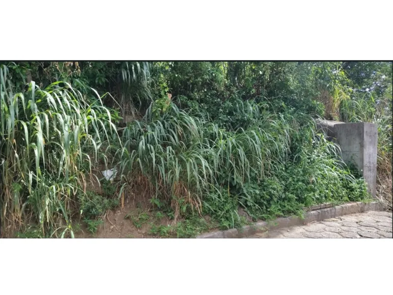 Terreno em Leilão Judicial