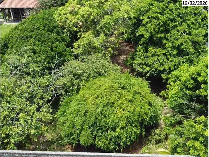 Terreno em leilão