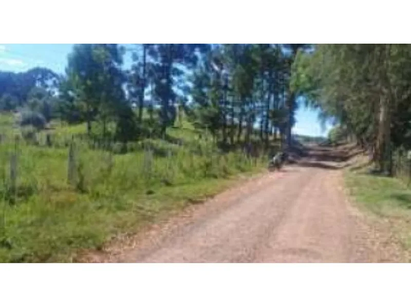Imóvel rural em leilão