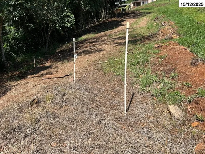 Imóvel rural em leilão