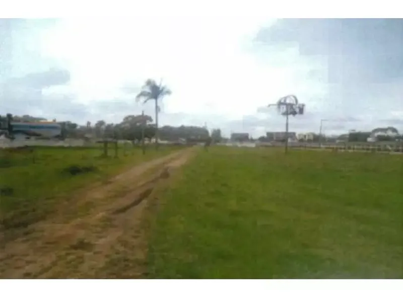 Imóvel rural em leilão