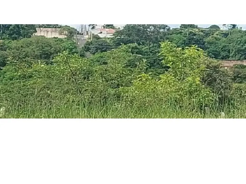 Terreno em leilão