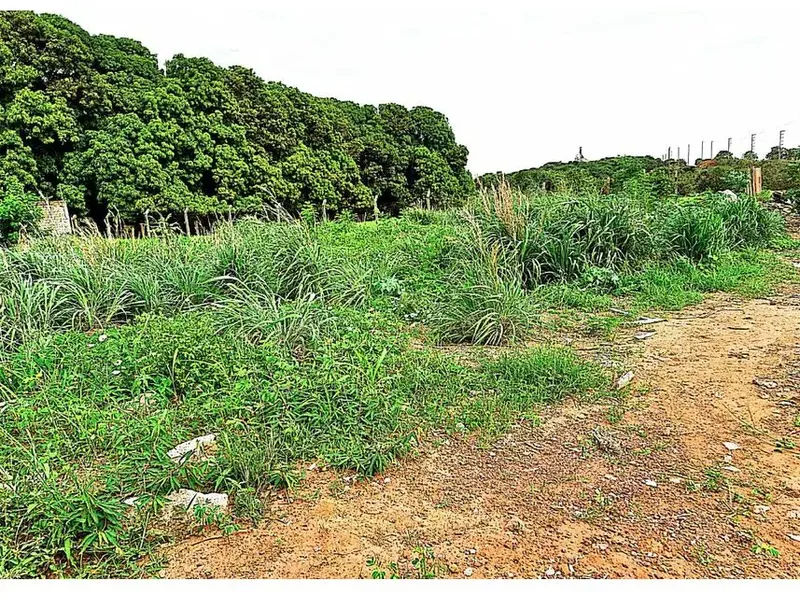 Terreno em leilão