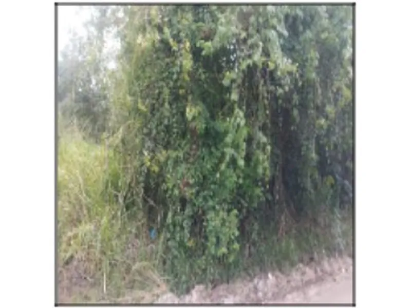 Terreno em Venda Direta