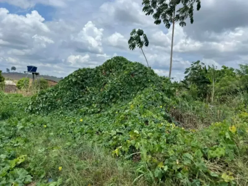 Terreno em Leilão Extrajudicial
