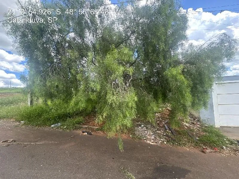 Terreno em Licitação