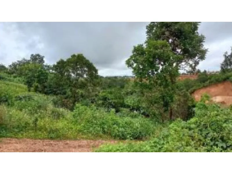 Terreno em leilão