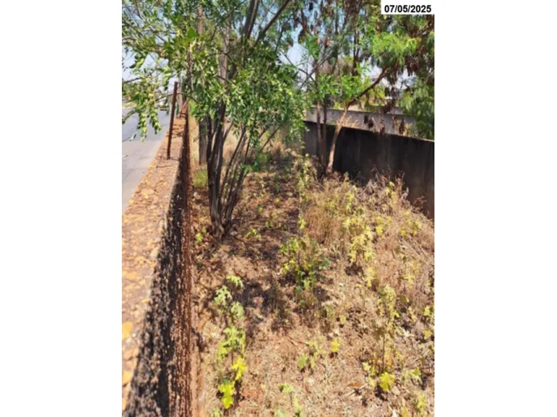 Terreno em leilão