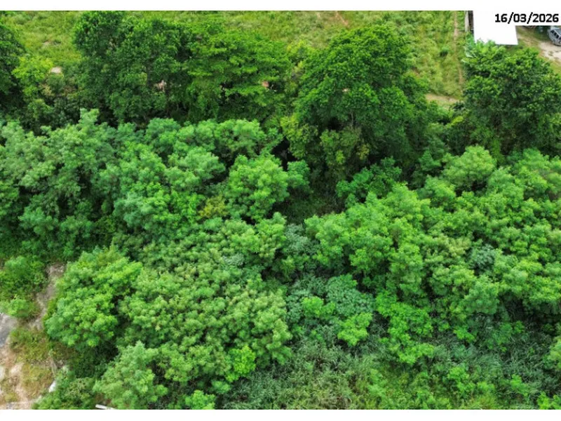 Terreno em leilão