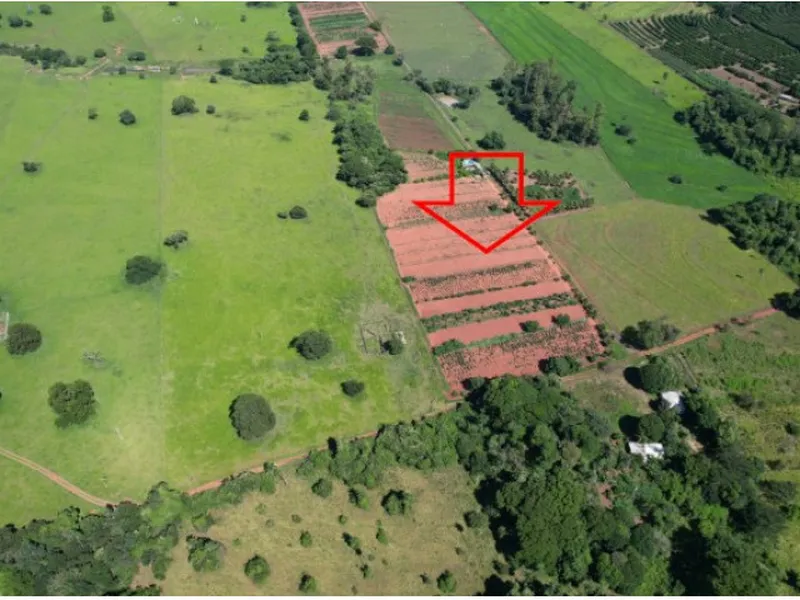 Imóvel rural em Leilão Judicial