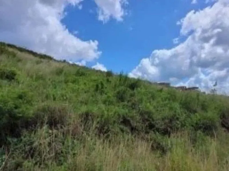 Terreno em leilão