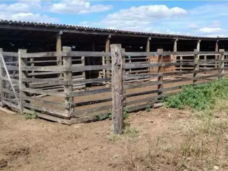 Terreno em leilão