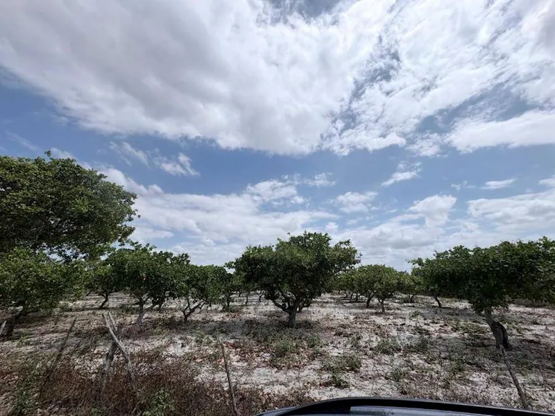 Terreno em Leilão Extrajudicial