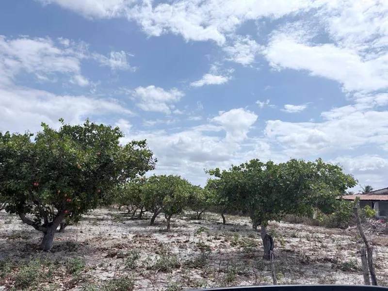 Terreno em leilão