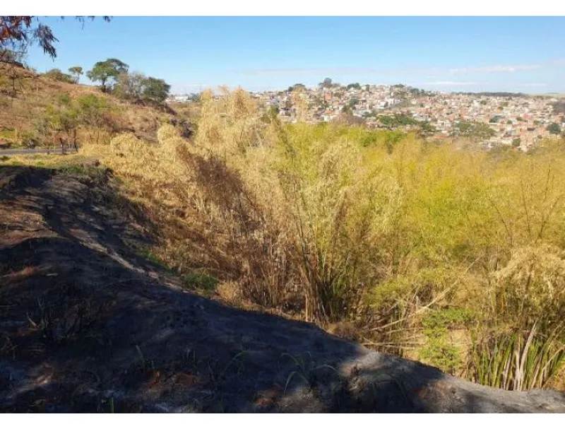 Terreno em leilão