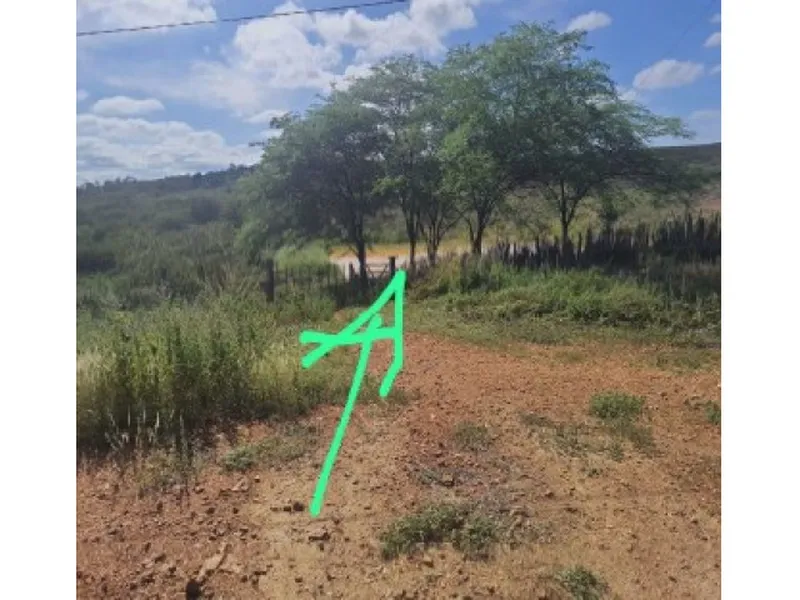 Imóvel rural em Leilão Judicial