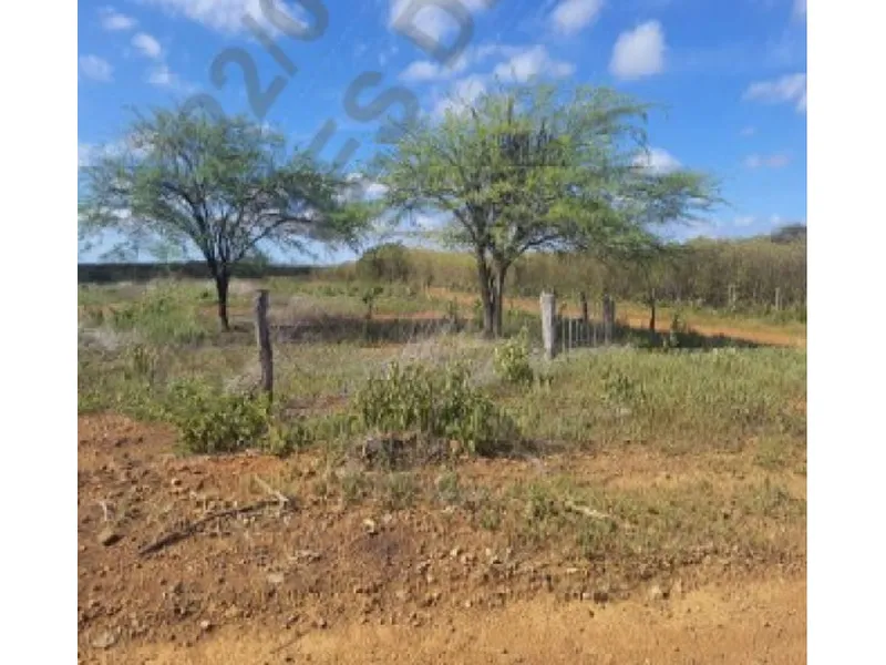 Imóvel rural em leilão