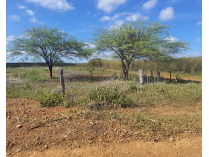 Imóvel rural em Leilão Judicial