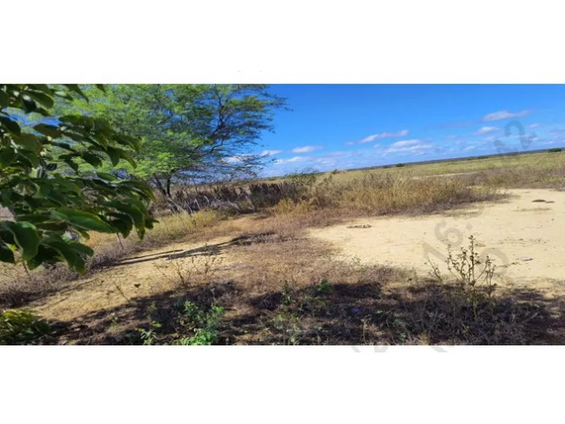 Imóvel rural em leilão
