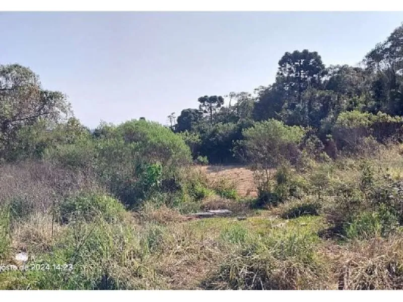 Terreno em leilão