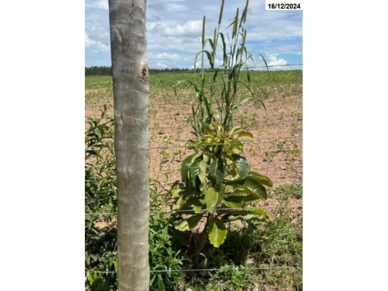 Imóvel rural em Venda Direta