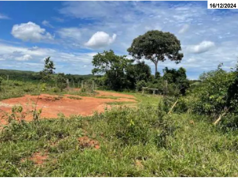 Imóvel rural em leilão