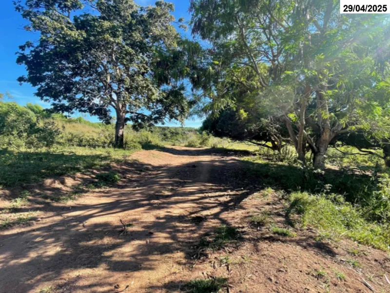 Imóvel rural em leilão