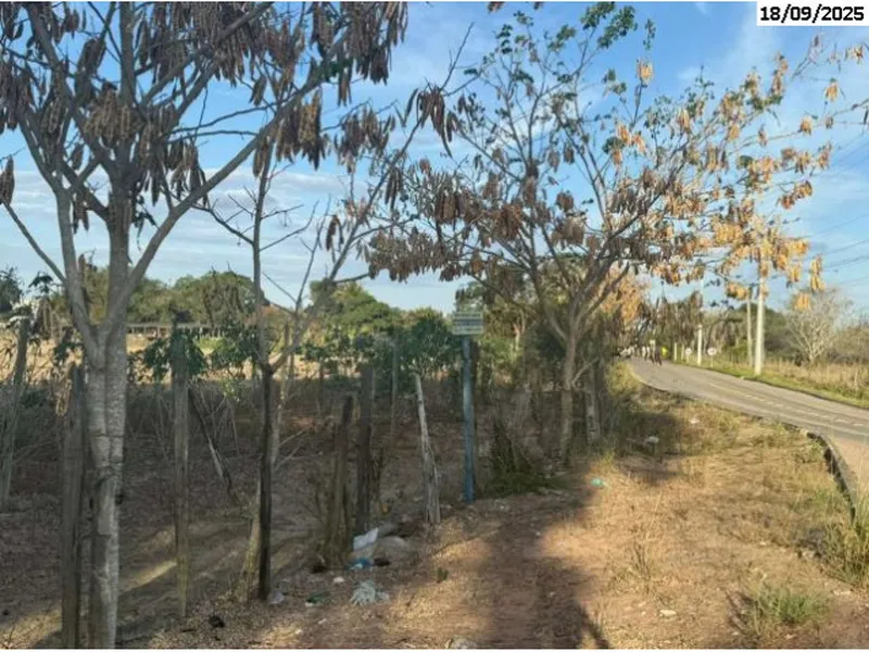 Imóvel rural em leilão