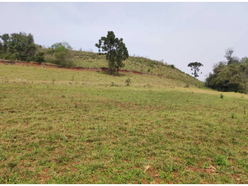 Imóvel rural em leilão