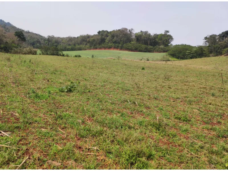 Imóvel rural em Leilão Judicial