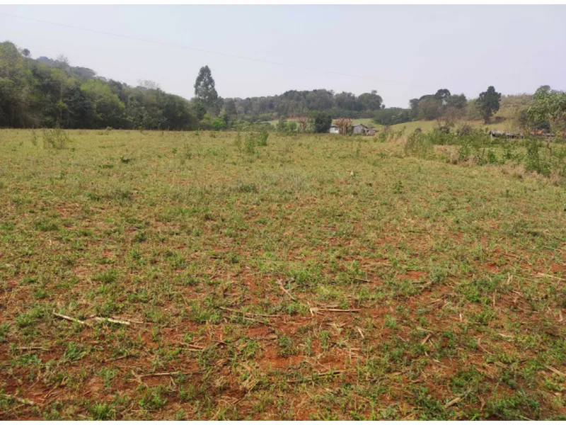 Imóvel rural em leilão