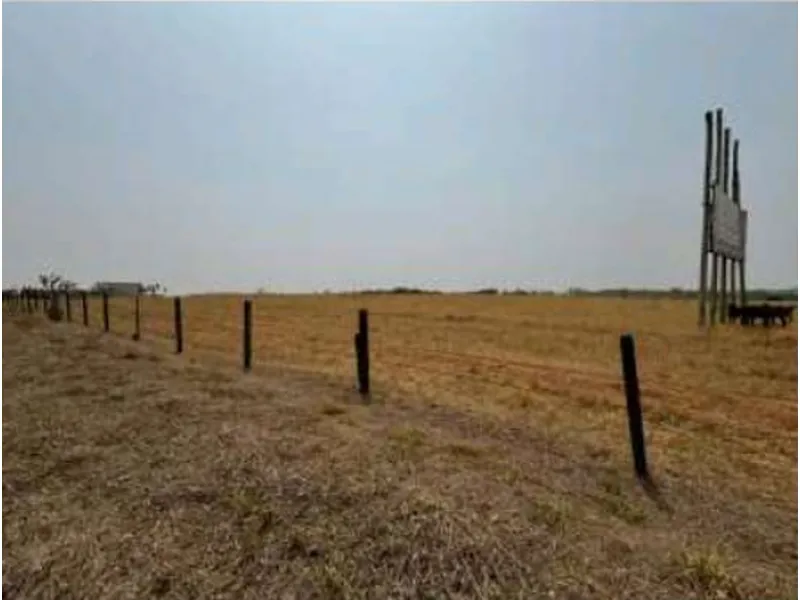 Imóvel rural em leilão