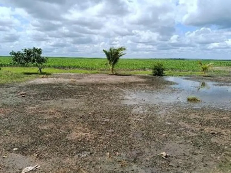 Imóvel rural em leilão