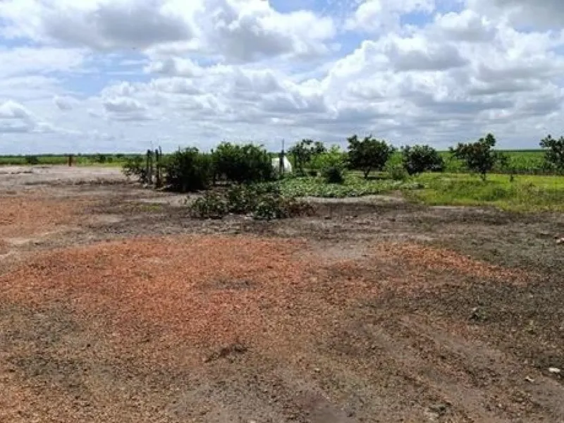 Imóvel rural em leilão