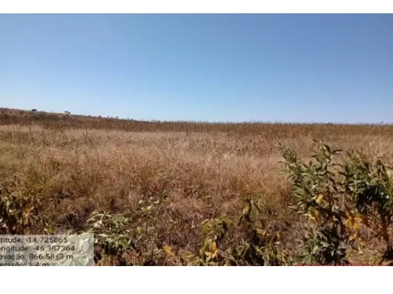Imóvel rural em leilão