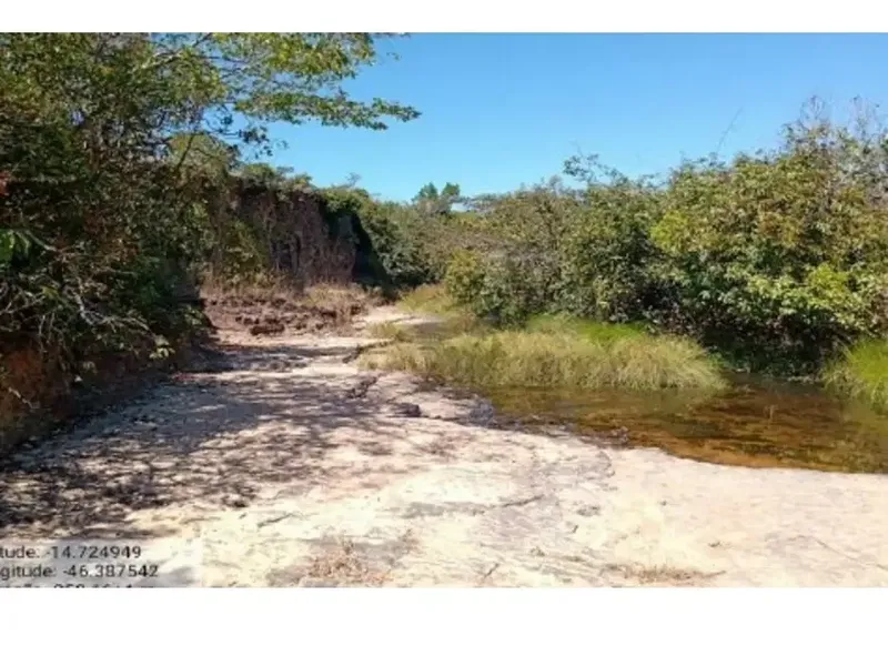 Imóvel rural em leilão
