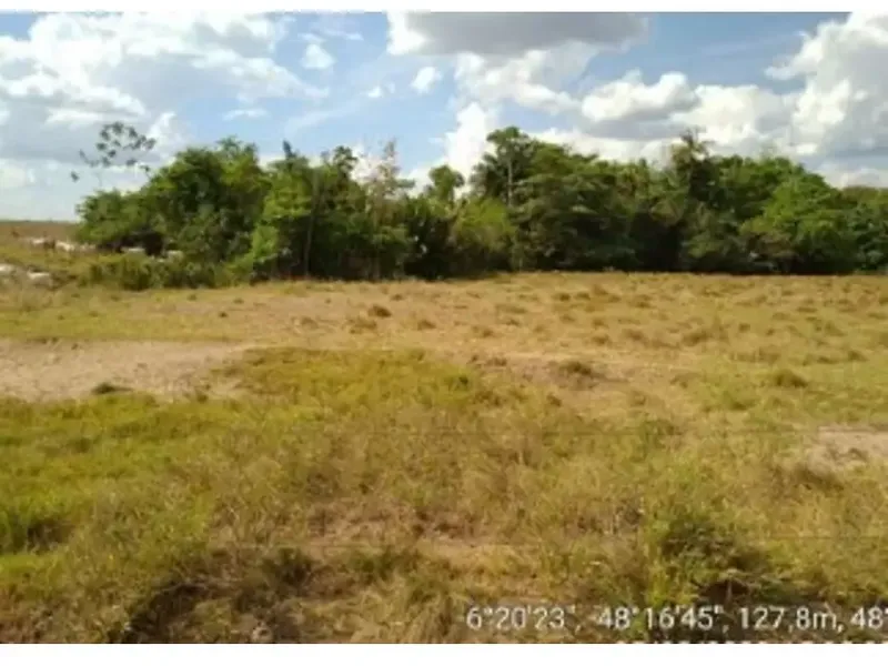 Imóvel rural em leilão