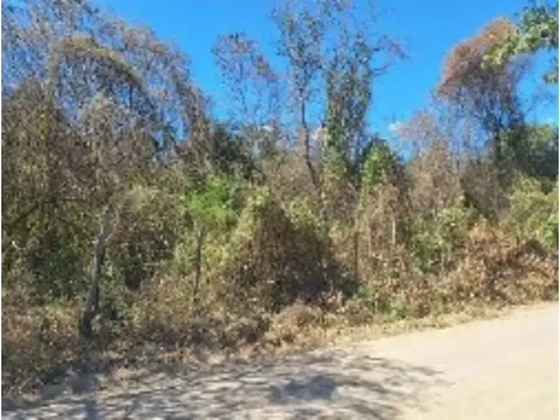Terreno em leilão