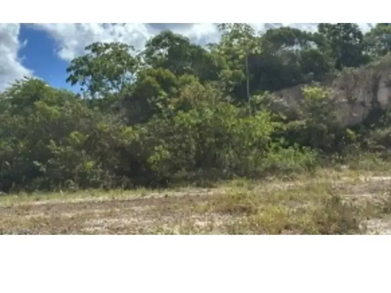 Terreno em leilão