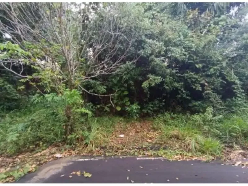 Terreno em leilão