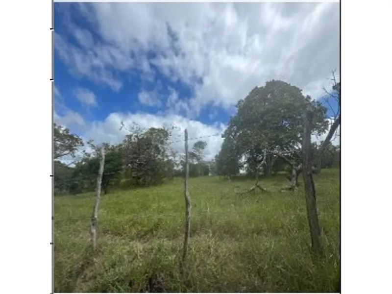 Gleba em Leilão Extrajudicial