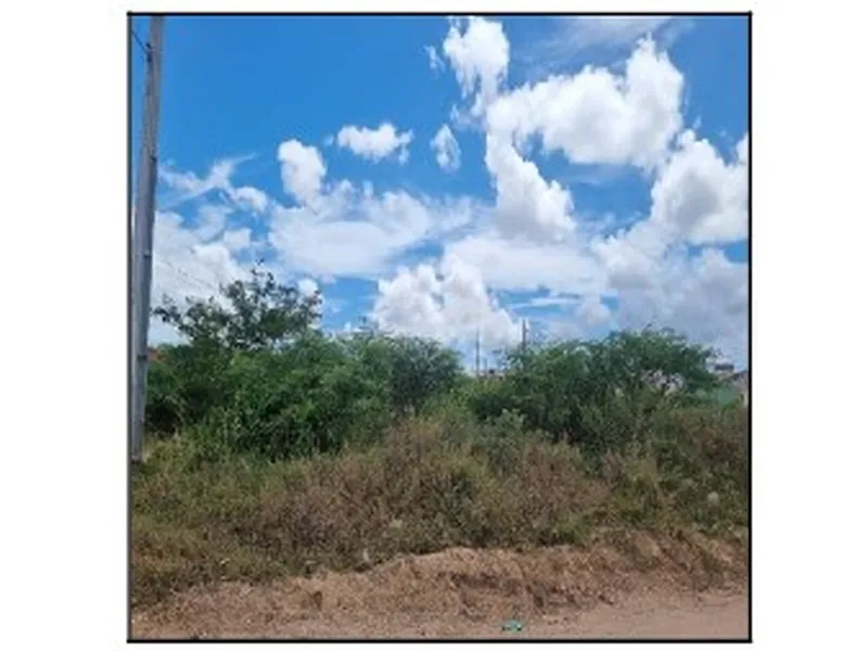 Terreno em Licitação