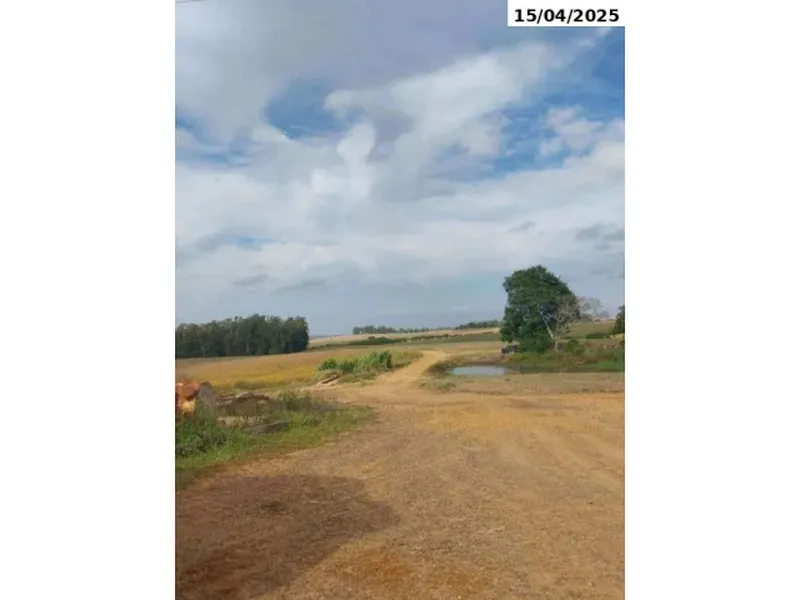 Imóvel rural em Leilão Judicial